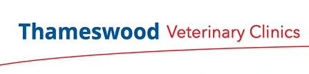 Thameswood Veterinary Clinics